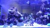 DSCF0352.