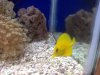 1544286_692401360812592_805748927_n.
