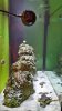 20140324_231705_Richtone(HDR).