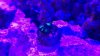 WP_20140411_15_29_01_Pro.