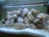 Picture0013.