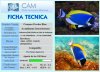 Ficha POWDRBL.