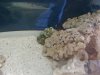 20140510_103553 (1).