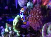 IMG_4064.