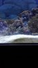 20140724_162846_LLS.