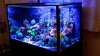 20150219_114425 copy.