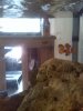 IMG_20150516_101538.