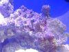 DSCN0491[1].