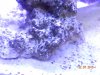 DSCN0492[1].