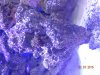DSCN0495[1].