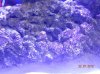 DSCN0496[1].