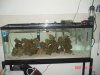 dsc08564_275.