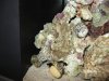 img_0088_1_123.