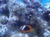 dsc00546_123.