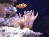 dsc00950_168.