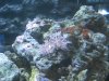 img_0075_179.