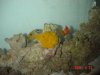 dsc08746_992.