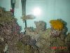 dsc08730_153.