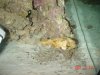 dsc08734_515.