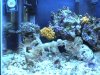 dsc01006_460.