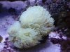 dsc01532s_960.