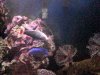 dsc00137_164.