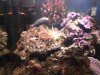dsc00129_137.