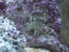 dsc02411_932.