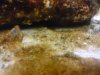 dsc00018_163.