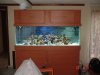 dsc00048_100.