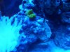 100b5190_255.