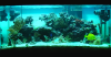 reef_noche_797.