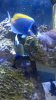 WP_20150729_037.