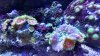 IMG_20150806_182852448_HDR.