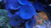 IMG_20150806_183229370.