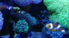 IMG_20150806_182607242.