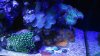 IMG_20150806_182756743.