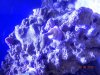 DSCN0504[1].