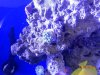 DSCN0505[1].