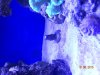 DSCN0507[1].