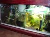 sump.