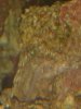 12067385_1676417385936678_148295159_n.