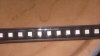 Ecoxotic 1.