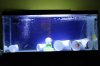 thumb_IMG_0287_1024.