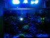 2015-10-08_19-21-37_436.