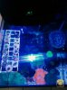 IMG-20151020-WA0029.