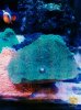 IMG-20151020-WA0040.