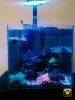 IMG-20151020-WA0046.