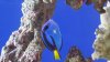20151122_083020[1].