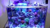 20151227_174142[1].
